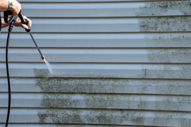 Best Demolition Debris Removal  in Brookville, NY